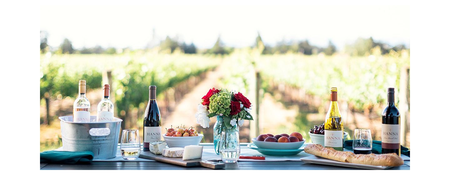 Beautiful landscape view of vineyard