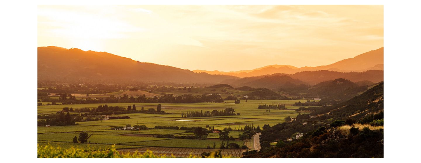 Joseph Phelps vineyard at sunrise