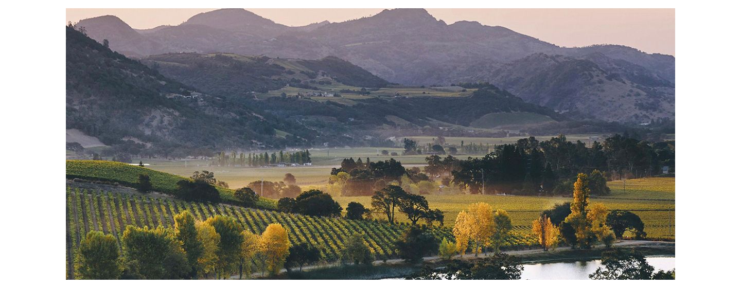 Markham winery and vineyards