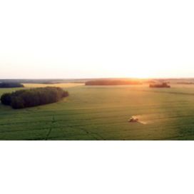 Field with sunset