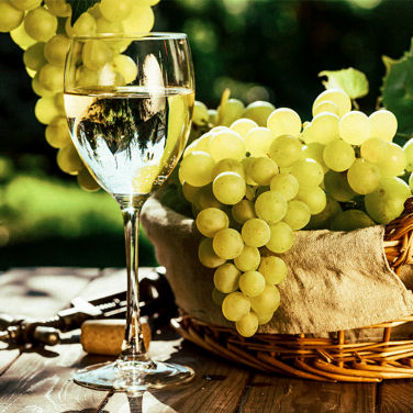 Glass of white wine with grapes
