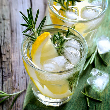 Gin cocktails with garnish 