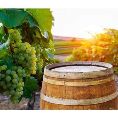 A barrel of wine in a vineyard