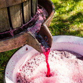 Wine being poured into a bowl
