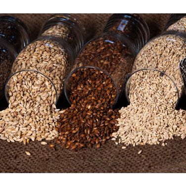 Malt grains